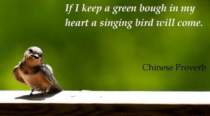 Chinese Proverb | Happiness | Singing Bird