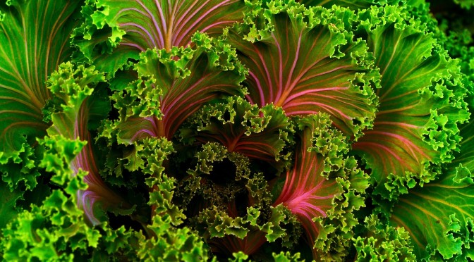 Leafy Greens | Kale | Eat yourself happy